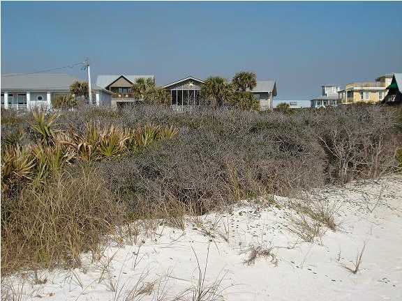 420 Blue Mountain Road Santa Rosa Beach, FL 32459 - Photo 4 of 6 a view of a dry yard with trees