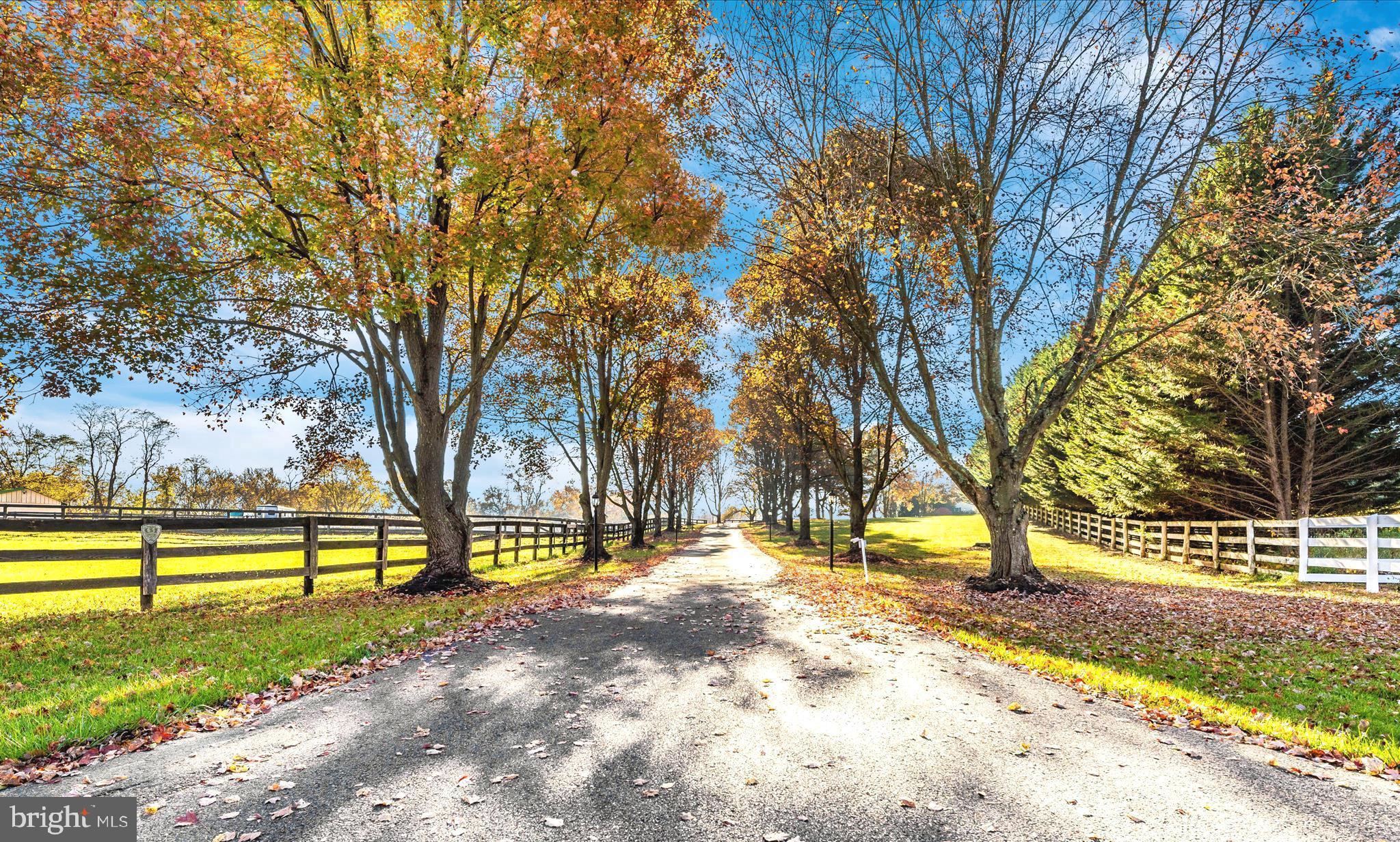 15121 Sugarland Road Poolesville, MD 20837 - Photo 1 of 61 Driveway