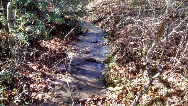 1158 Davis Town Road Old Fort, NC 28762 - Photo 5 of 7