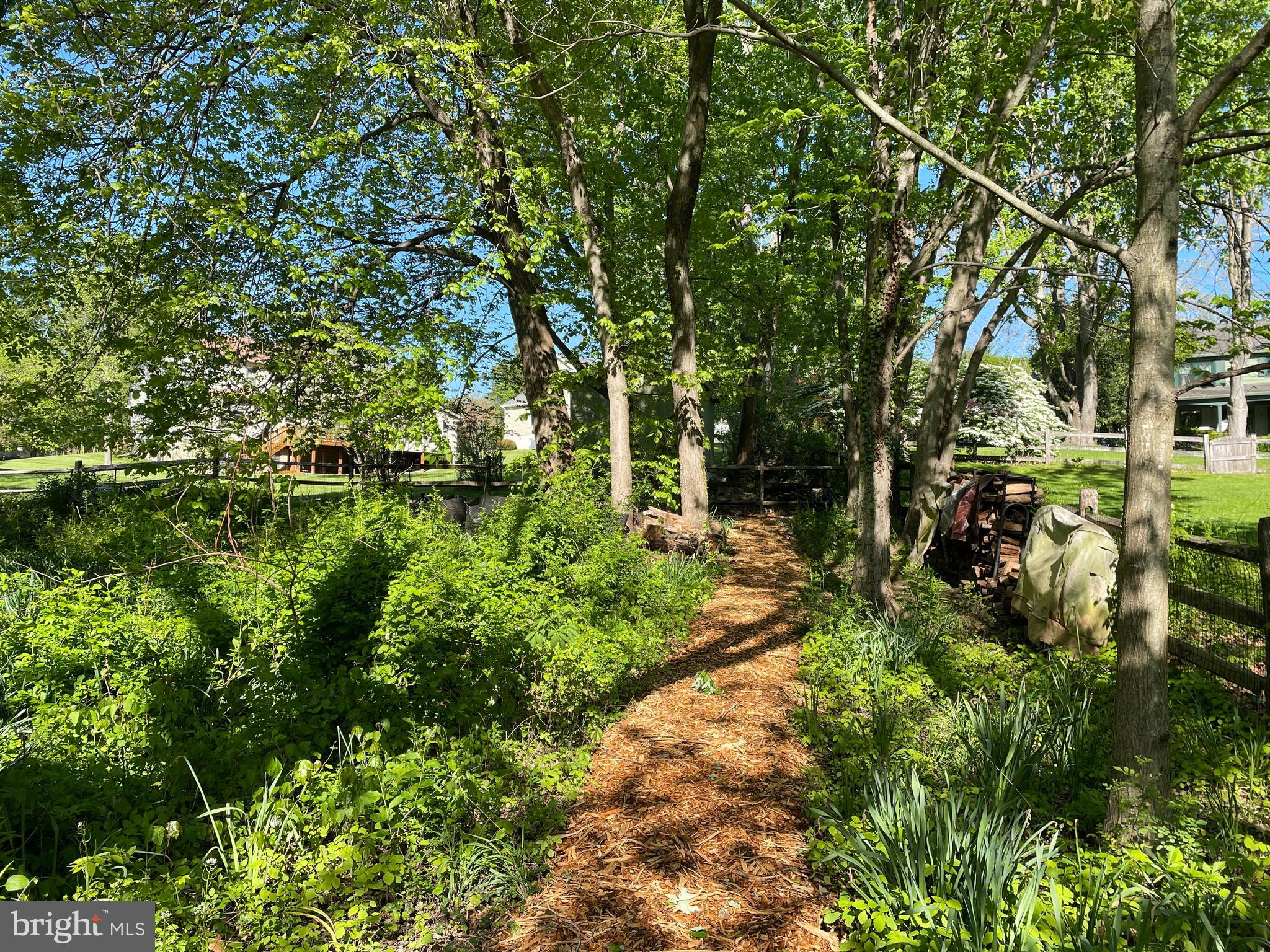 1921 Morningmist Drive Silver Spring, MD 20906 - Photo 30 of 38 Wooded path to the pond