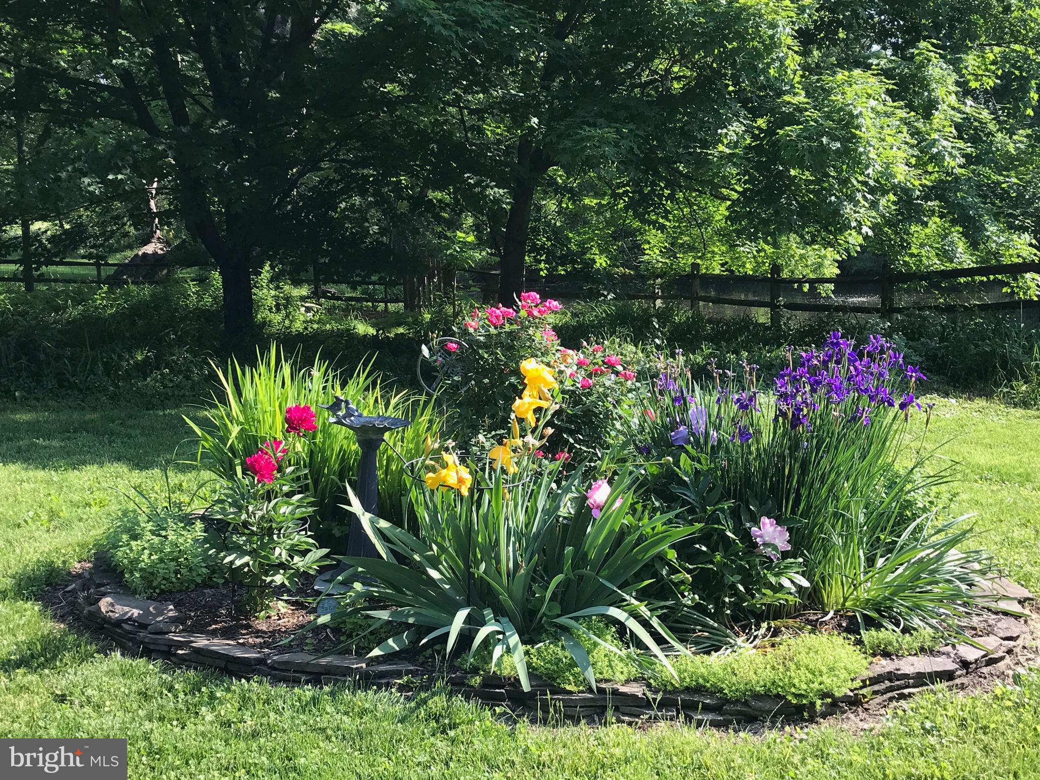 1921 Morningmist Drive Silver Spring, MD 20906 - Photo 34 of 38 Beautiful perennial gardens