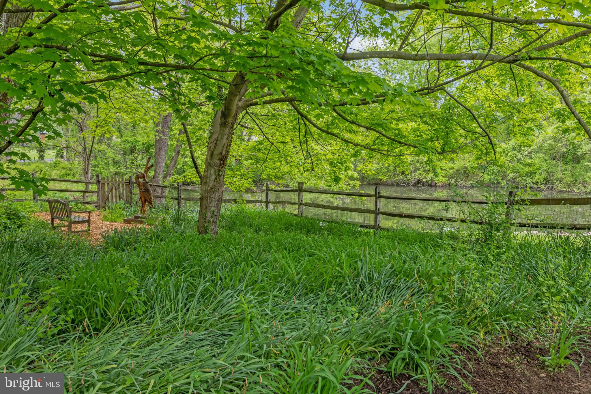 1921 Morningmist Drive Silver Spring, MD 20906 - Photo 37 of 38 Pond view in back yard