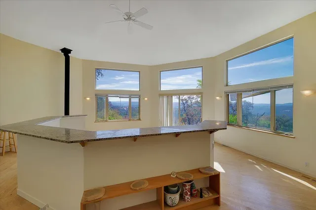 a view of a bunch of trees and bushes