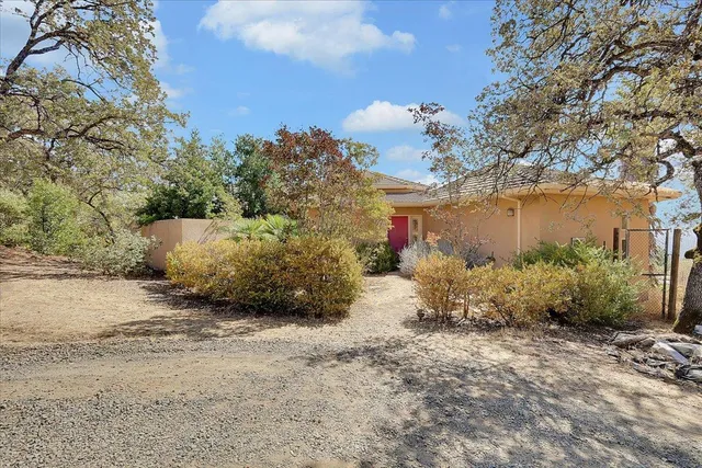 a view of a yard with plants and trees