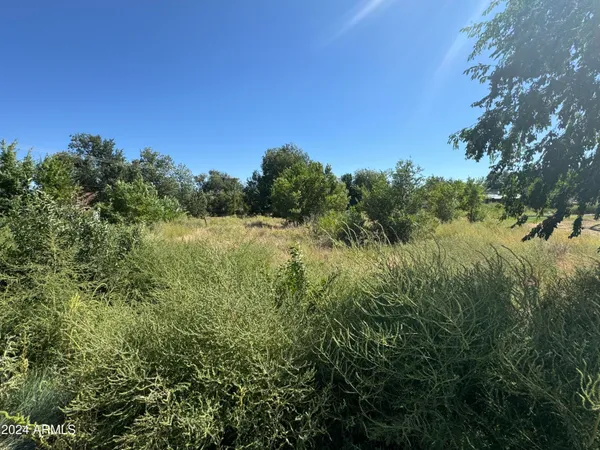 a view of a field with trees in the background
