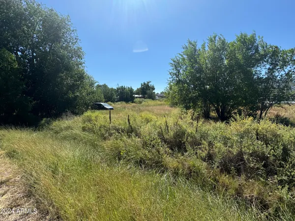 $17,000 | Lot #5 Denver Subdivision Block: 16 Street West, Unit 5, St. Johns, AZ 85936