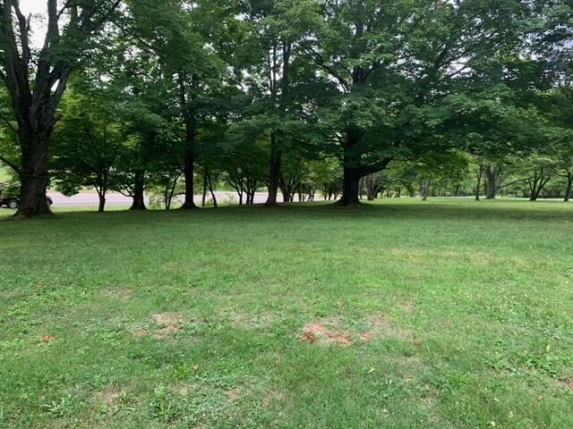 10400 Rutledge Pike Corryton, TN 37721 - Photo 2 of 8 image1