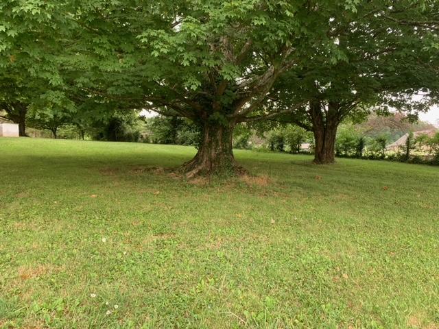 10400 Rutledge Pike Corryton, TN 37721 - Photo 7 of 8 image6