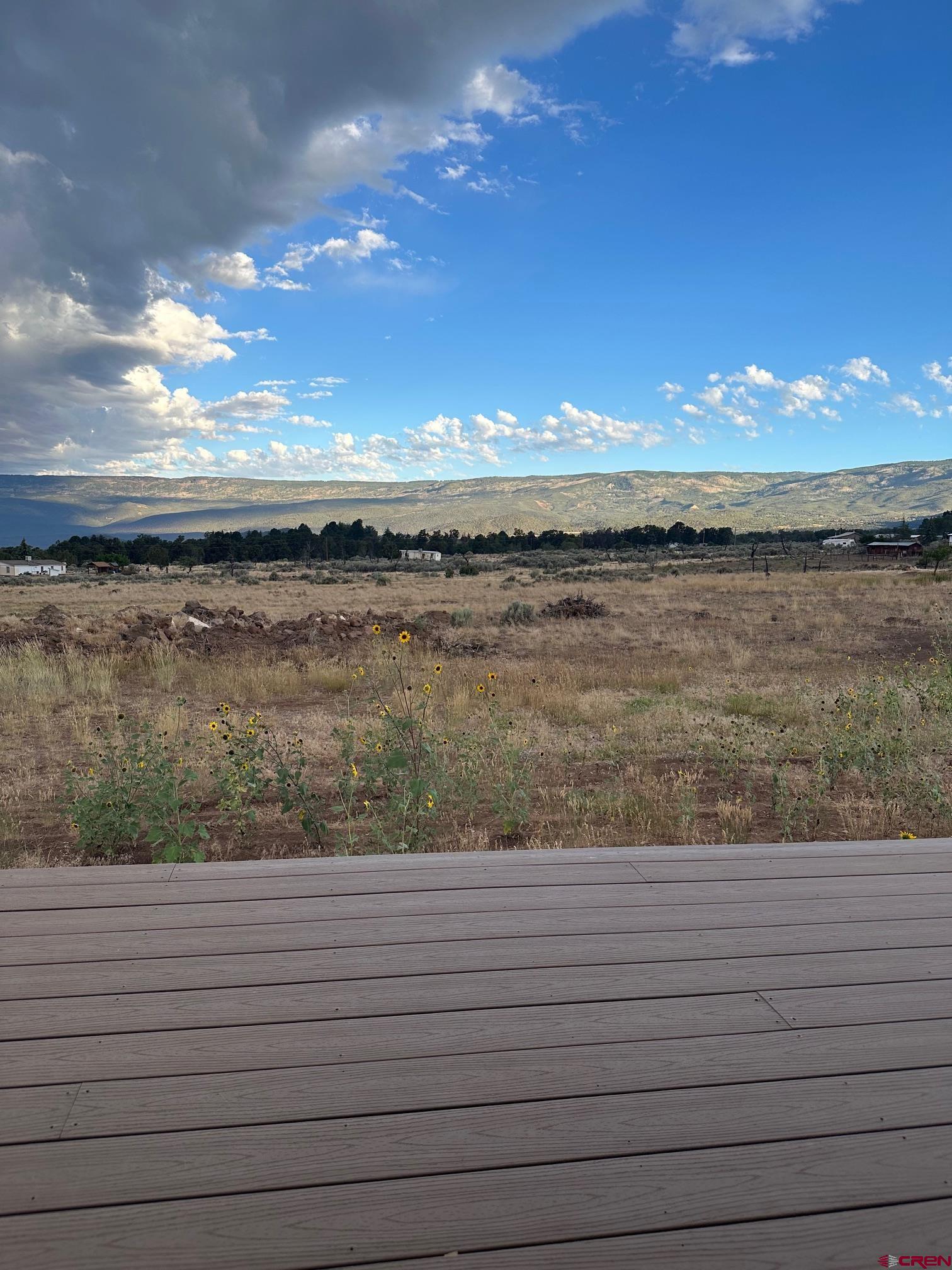 24500 Timothy Road Cedaredge, CO 81413 - Photo 18 of 30