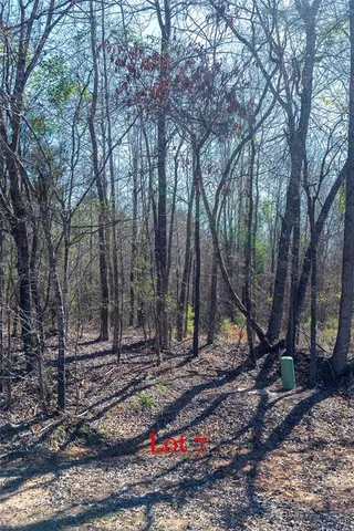 $94,661 | 7-8 9 J Lazarine Fm 130 Hughes Springs, Hughes Springs, TX 75656