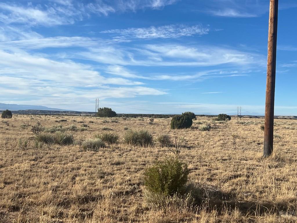66 A Turkey Ridge Ranch Walsenburg, CO 81089 - Photo 3 of 13