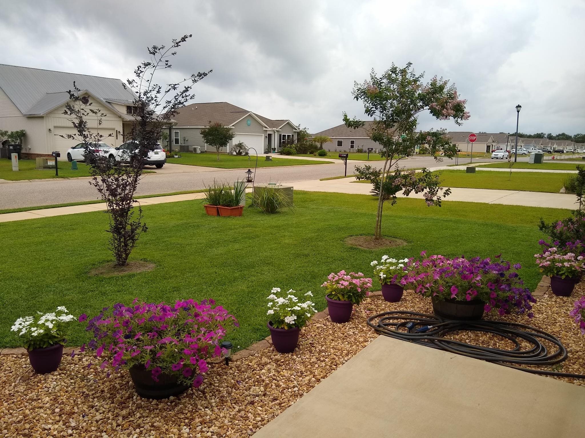 17305 Lewis Smith Drive Foley, AL 36535 - Photo 17 of 17 Yard
