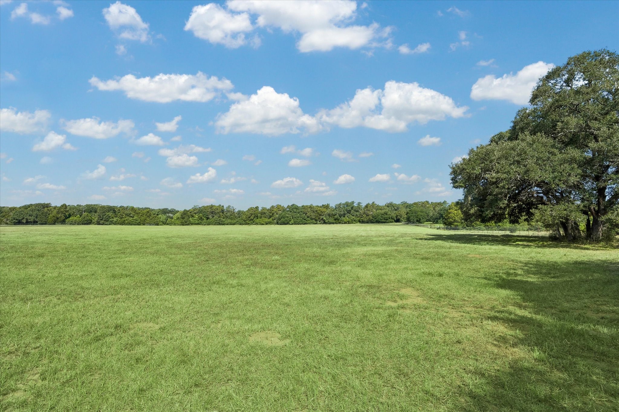 0 Frantz Road Cat Spring, TX 78933 - Photo 4 of 13 Peaceful setting in a desirable Cat Spring community