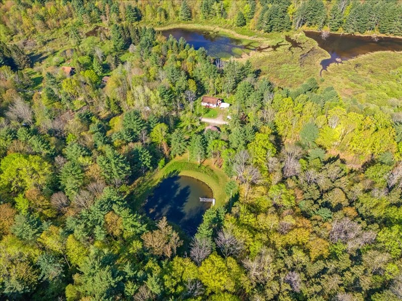 613 Waldon Road Greene, NY 13778 - Photo 47 of 50 Gallery Image 47