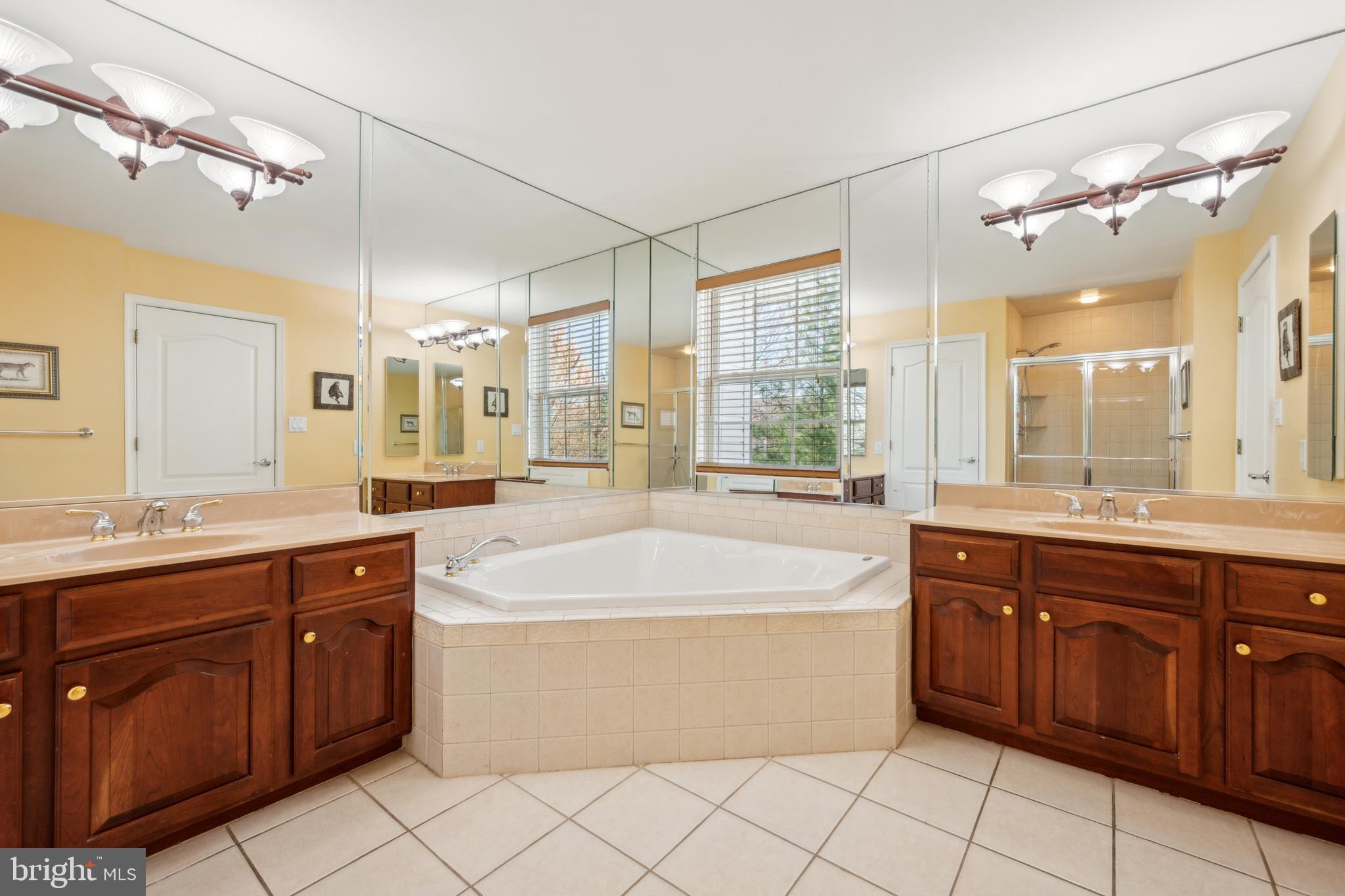 2 Equestrian Lane Cherry Hill, NJ 08003 - Photo 28 of 68 Primary Bathroom