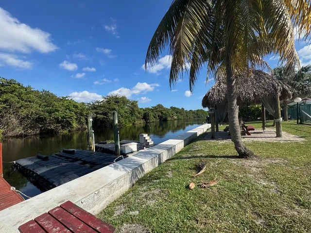 a view of backyard with tree