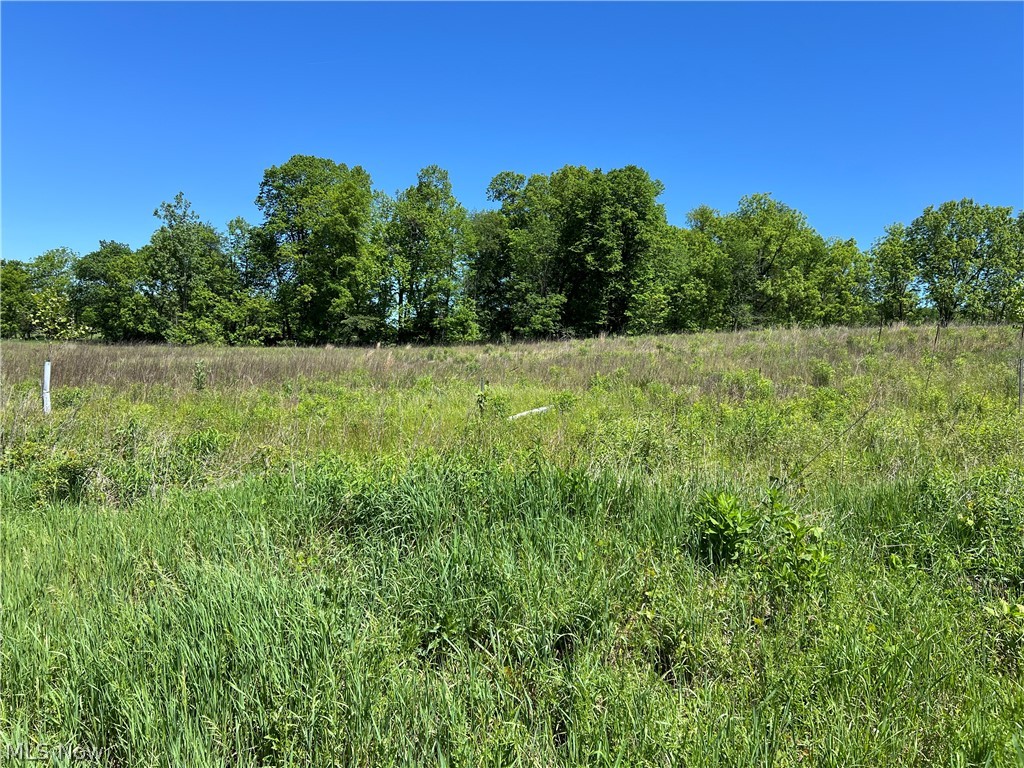 Shaw Road Spencer, OH 44275 - Photo 4 of 8