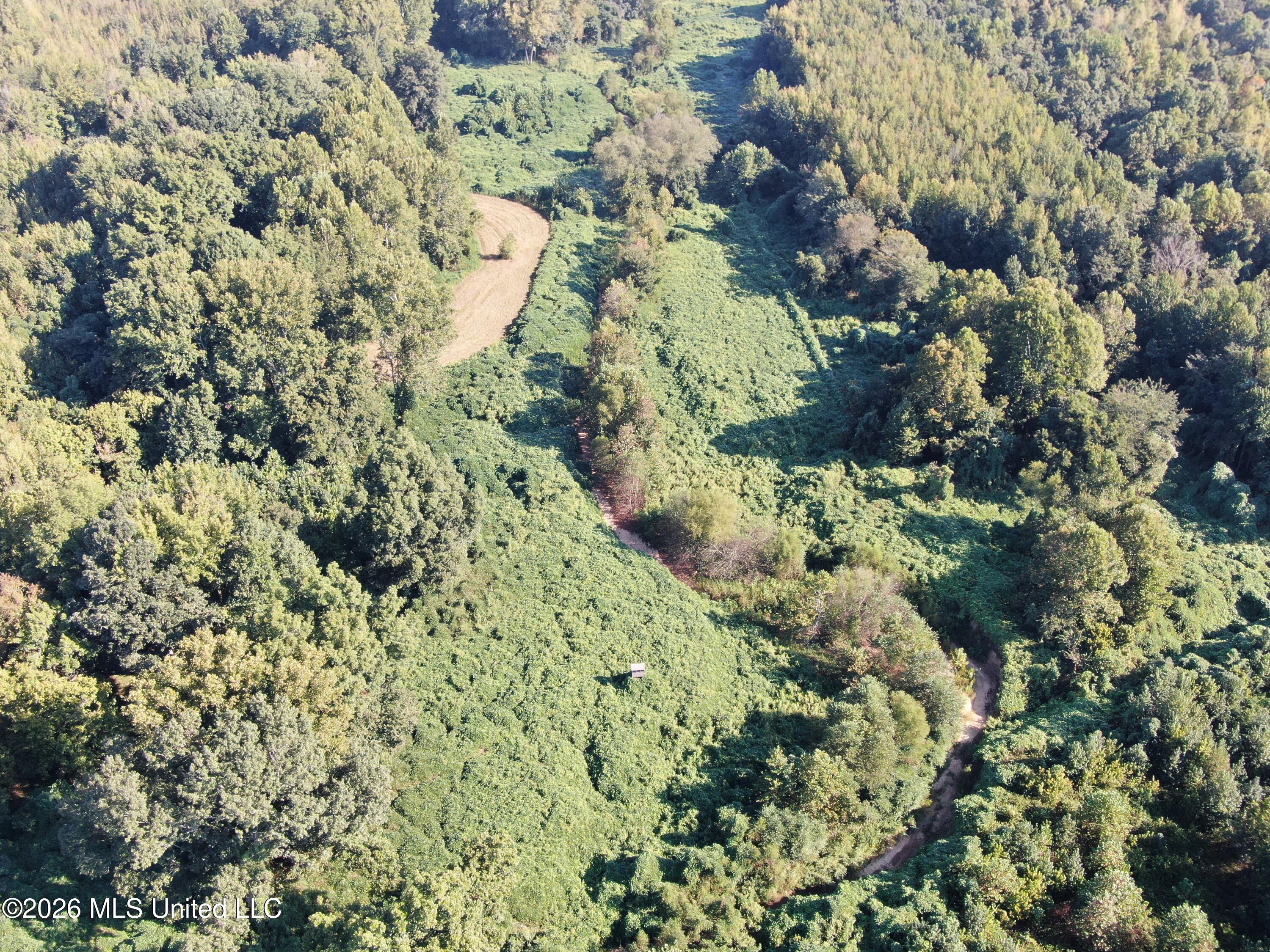 390 Old Panola Road Como, MS 38619 - Photo 4 of 71 DJI_0167
