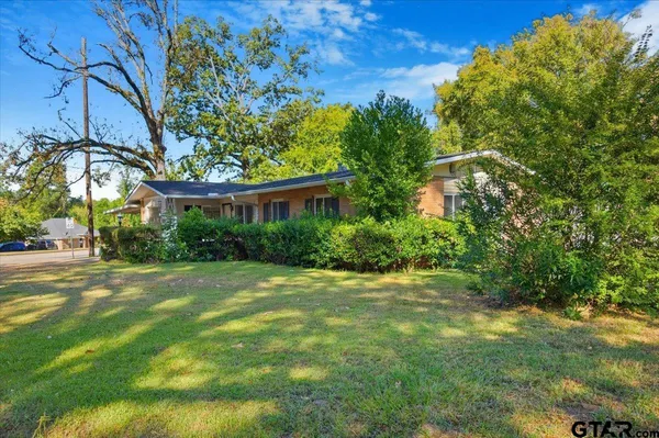 a view of a trees in a yard with plants and large trees