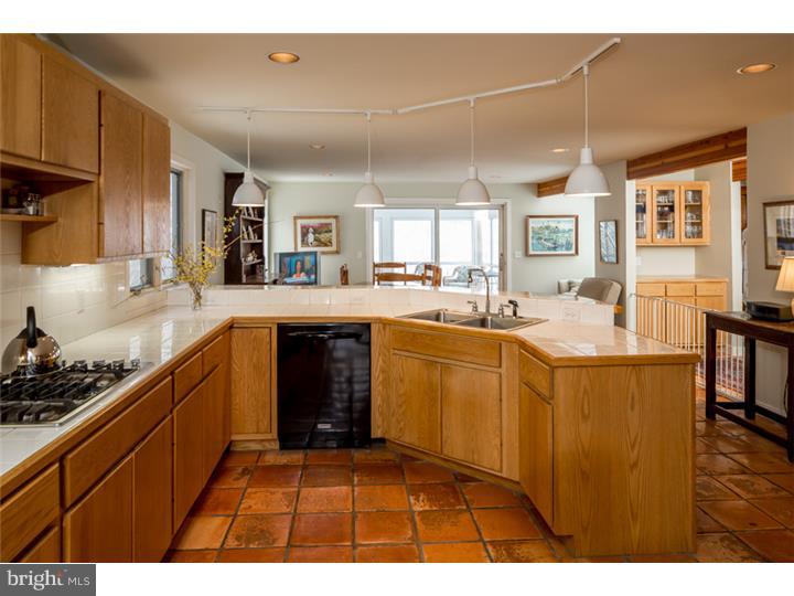 198 Cafferty Road Pipersville, PA 18947 - Photo 9 of 19 Kitchen