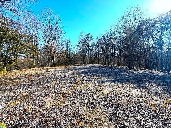 $149,900 | Under The Sun Road, Cosby, TN 37722