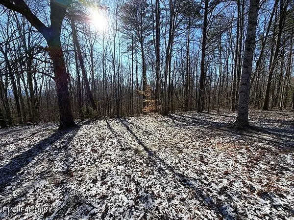 $149,900 | Under The Sun Road, Cosby, TN 37722