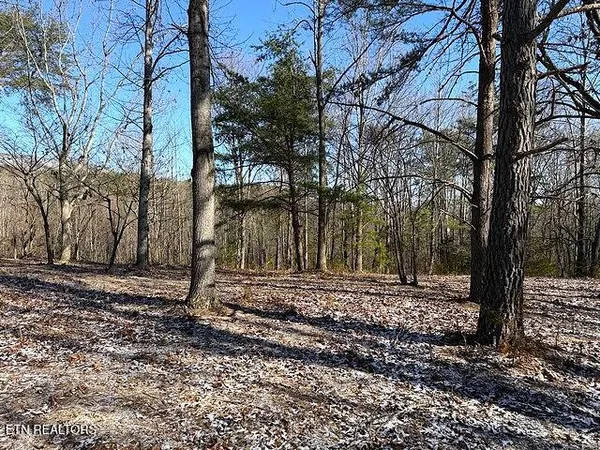 $149,900 | Under The Sun Road, Cosby, TN 37722