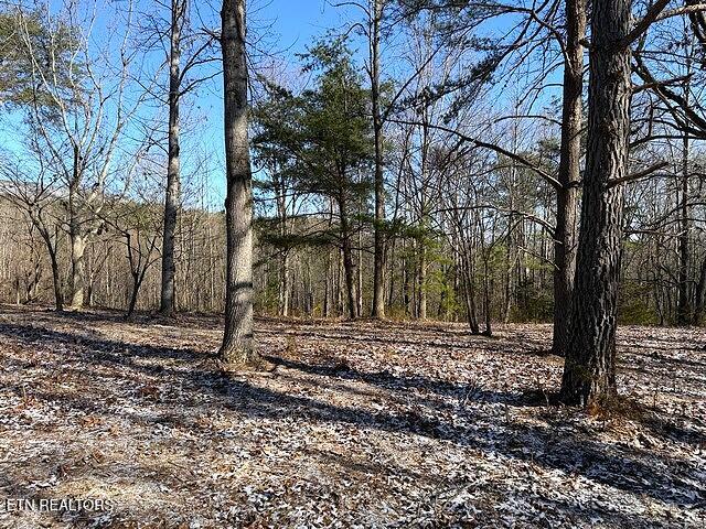 Under The Sun Road Cosby, TN 37722 - Photo 5 of 14 IMG_1389