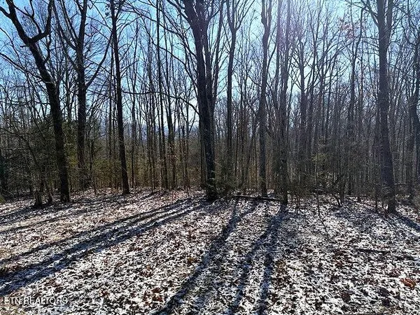 $149,900 | Under The Sun Road, Cosby, TN 37722