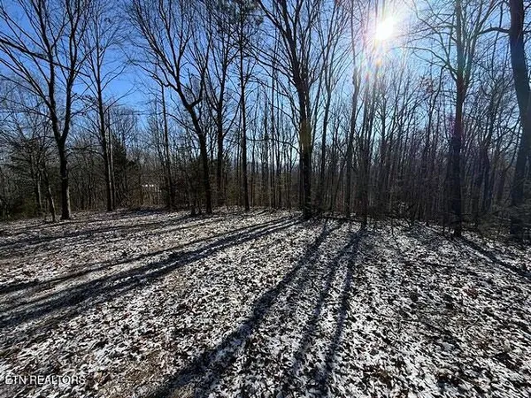 $149,900 | Under The Sun Road, Cosby, TN 37722