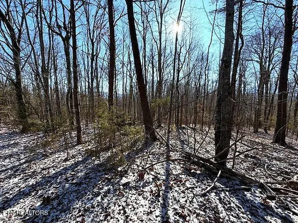 $149,900 | Under The Sun Road, Cosby, TN 37722