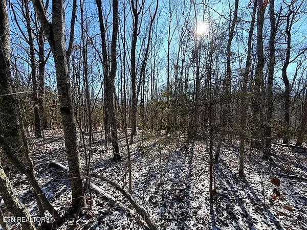 $149,900 | Under The Sun Road, Cosby, TN 37722