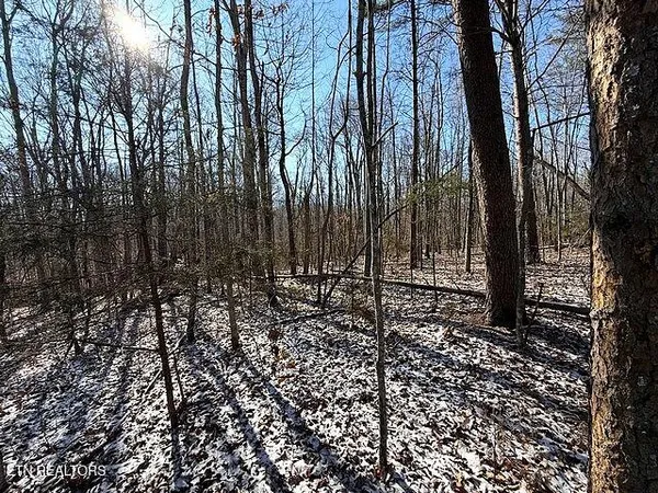 $149,900 | Under The Sun Road, Cosby, TN 37722