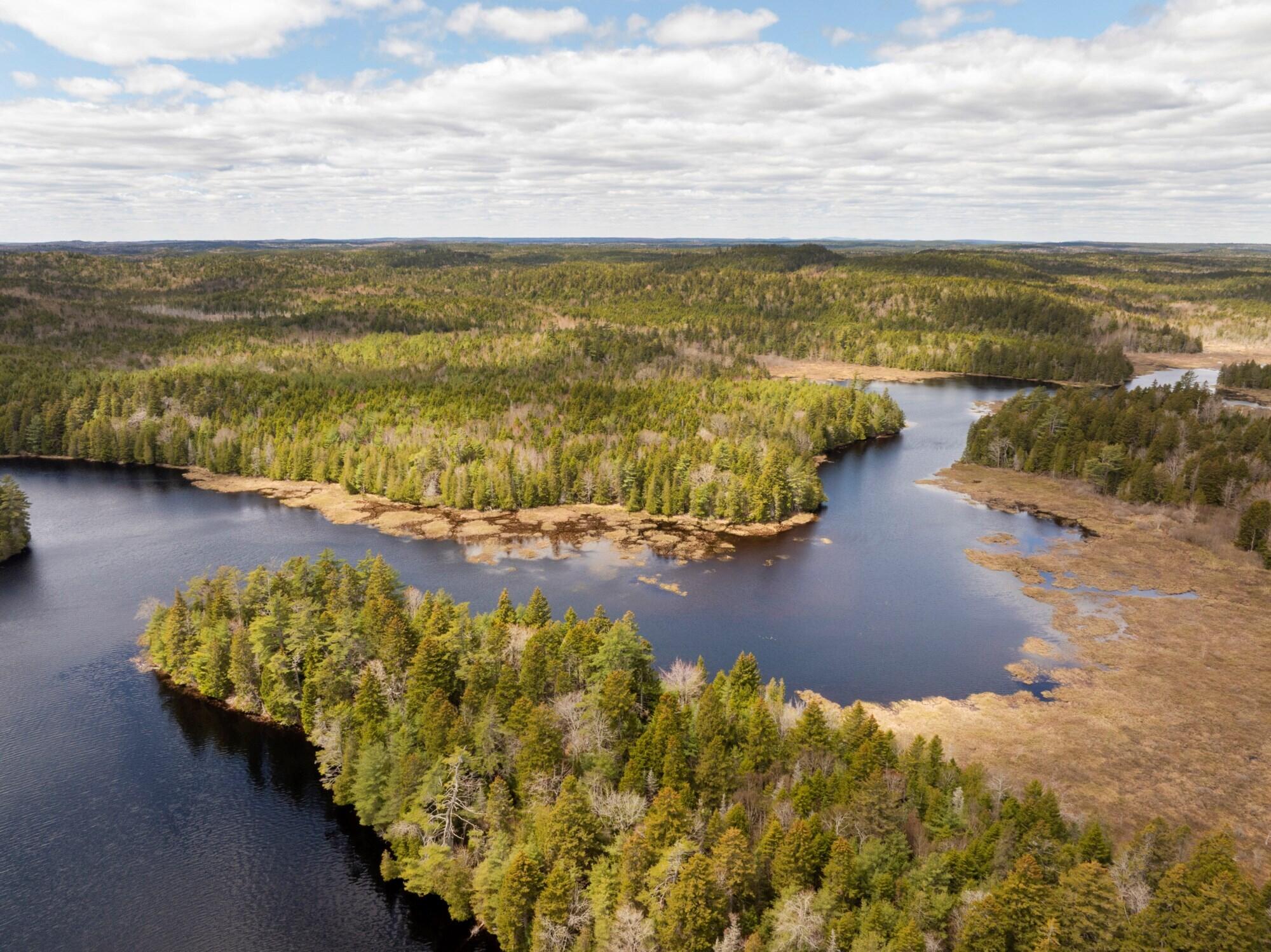 12 Map, Unit 7A Whiting, ME 04691 - Photo 6 of 12 LittleLakeLand_006