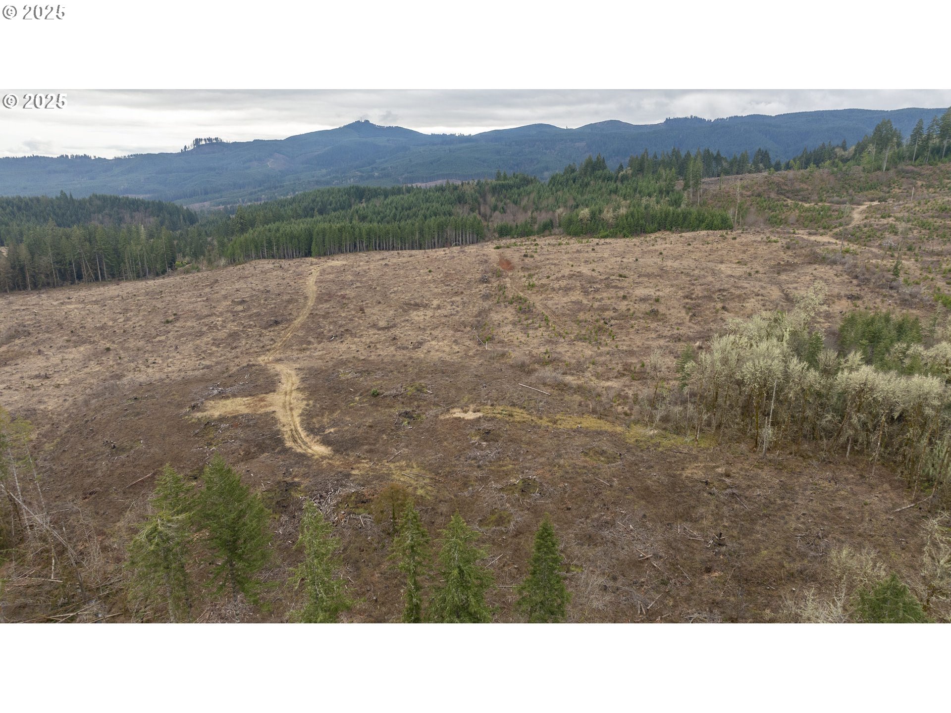 0 Northwest Panther Creek Road Yamhill, OR 97148 - Photo 9 of 28