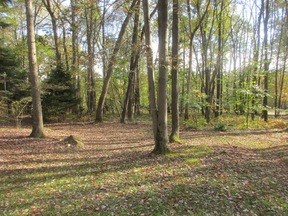 723 Burns Road Polk, PA 16342 - Photo 5 of 34 a view of a yard with a tree