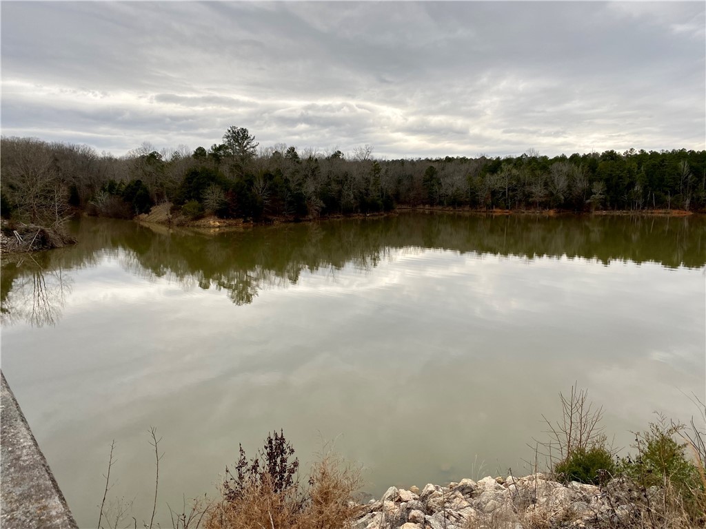 2416 Horseshoe Road Iva, SC 29655 - Photo 22 of 27