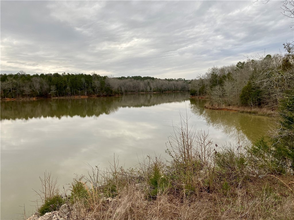 2416 Horseshoe Road Iva, SC 29655 - Photo 25 of 27