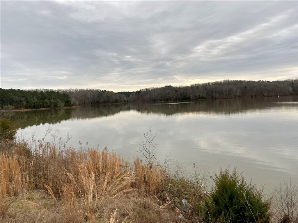 2416 Horseshoe Road Iva, SC 29655 - Photo 26 of 27