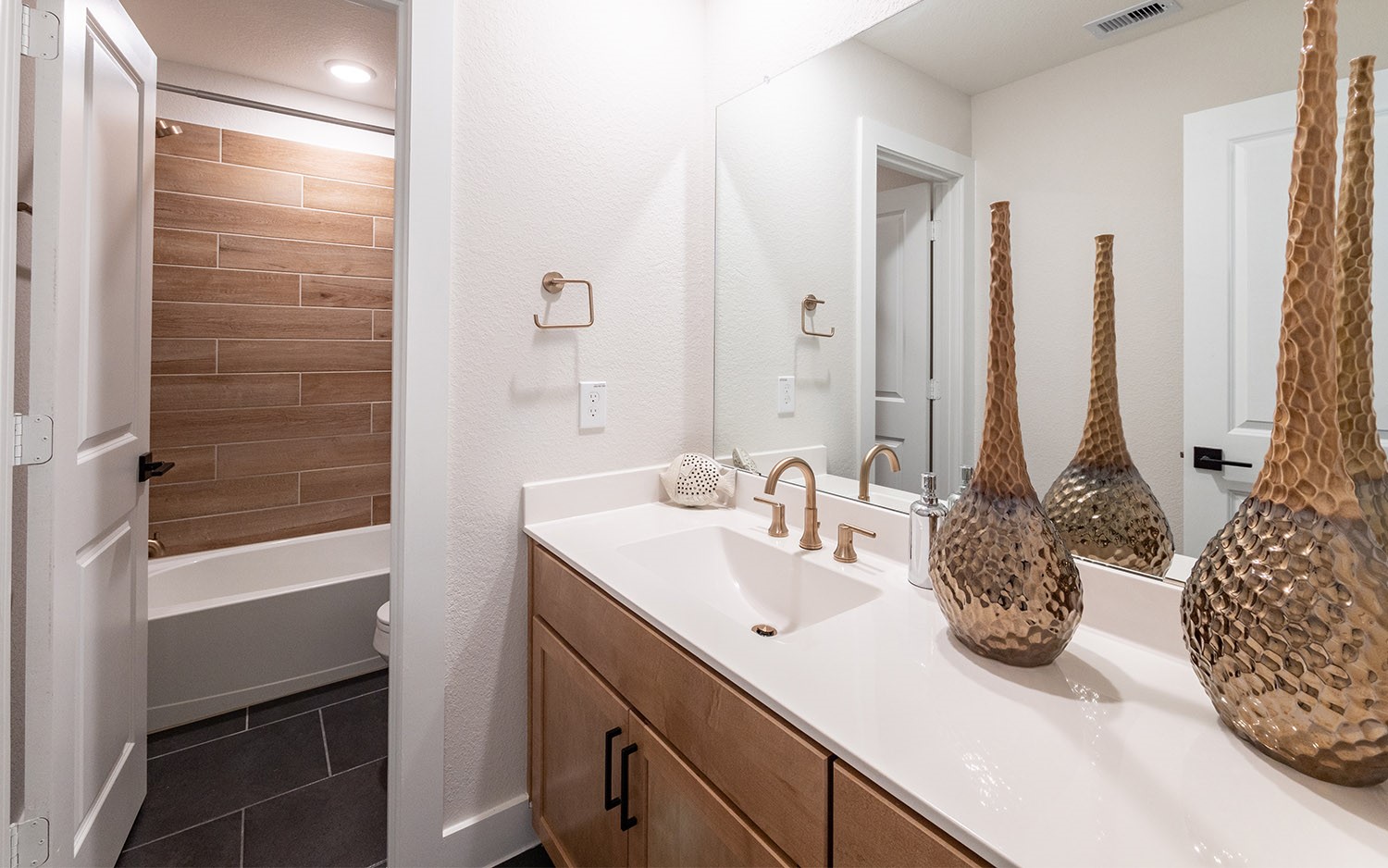 830 Aspen Bluffs Road Crosby, TX 77532 - Photo 22 of 23 a bathroom with a double vanity sink and a mirror