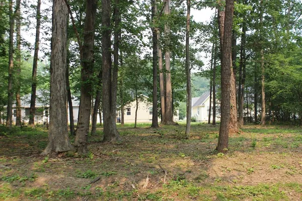 $10,000 | 1988 Mayflower Drive, Unit 1988, Greenbackville, VA 23356