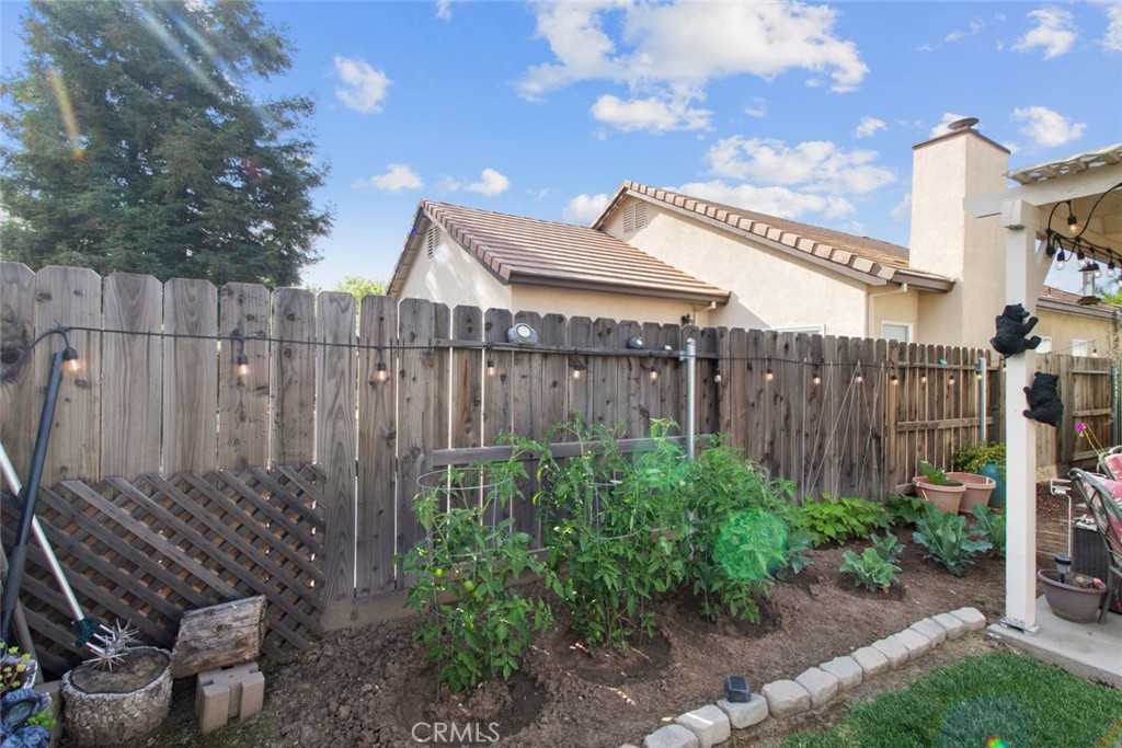 2408 Snap Dragon Court Modesto, CA 95355 - Photo 33 of 37 a view of a backyard with plants