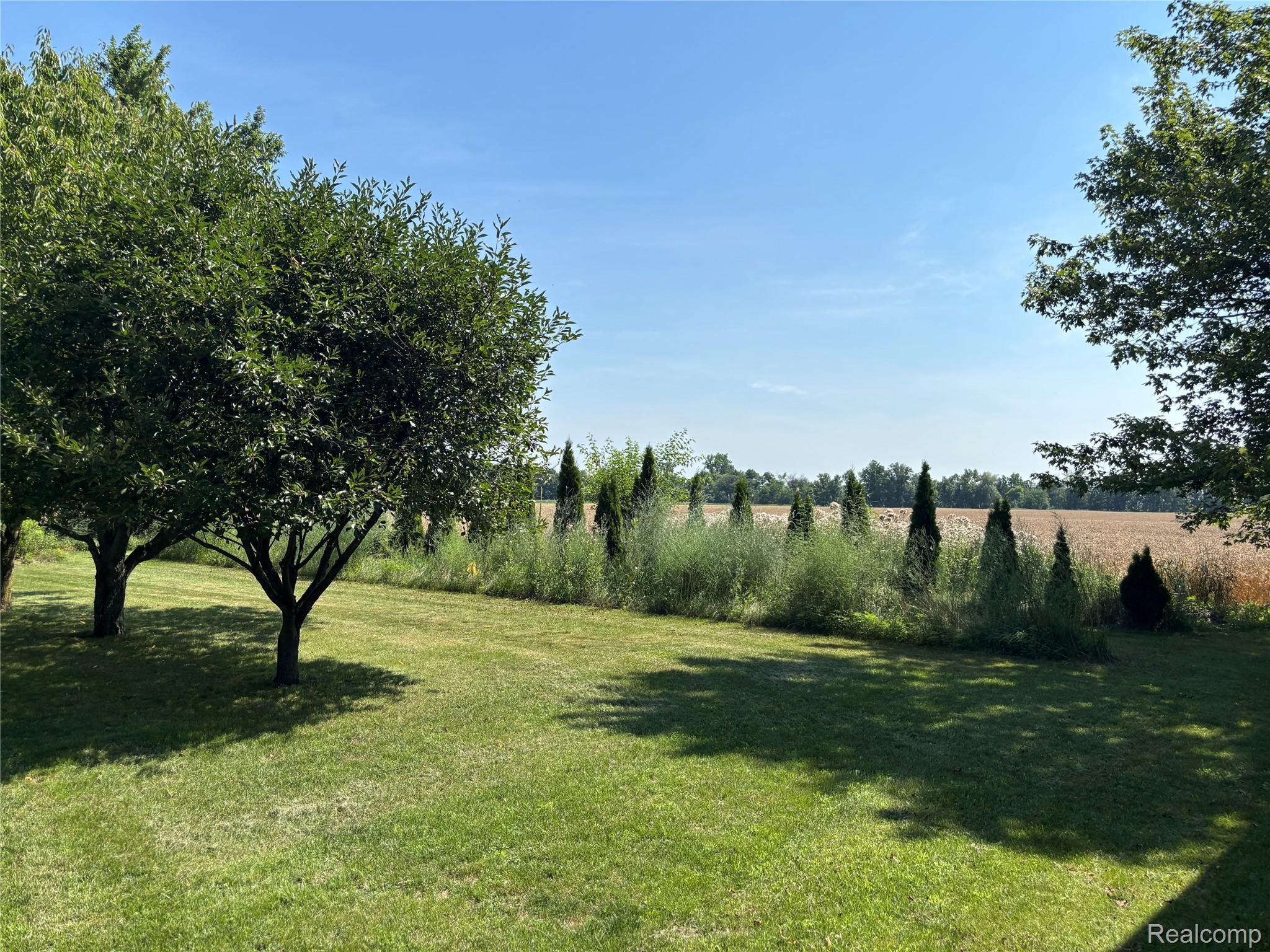 8531 South Waldron Road Pittsford, MI 49271 - Photo 32 of 40 Expansive lawn area featuring mature shade trees, a natural hedge, and evergreen landscaping