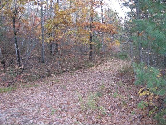 24 Bay Point Road Ossipee, NH 03814 - Photo 4 of 5
