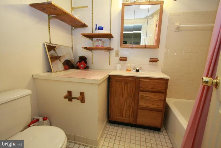 10 Autumn Ridge Court Silver Spring, MD 20906 - Photo 17 of 23 a bathroom with a sink a toilet and mirror
