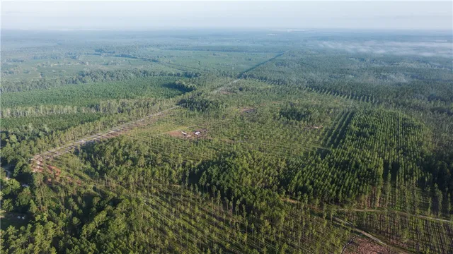 a view of a field of grass and trees