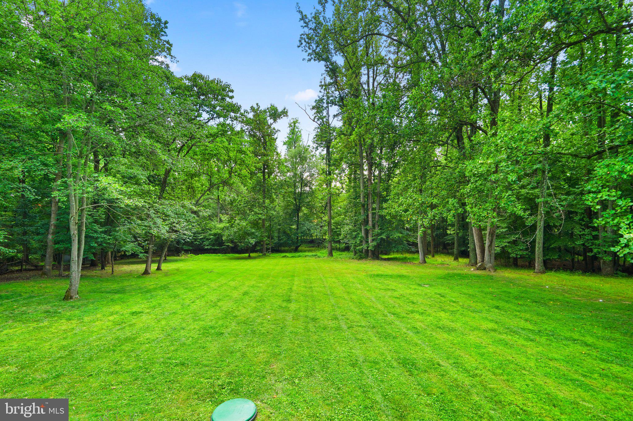 15501 Radwick Lane Silver Spring, MD 20906 - Photo 35 of 37 Private backyard