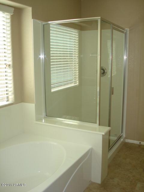 4261 East Bonanza Road Gilbert, AZ 85297 - Photo 5 of 6 Master shower/tub