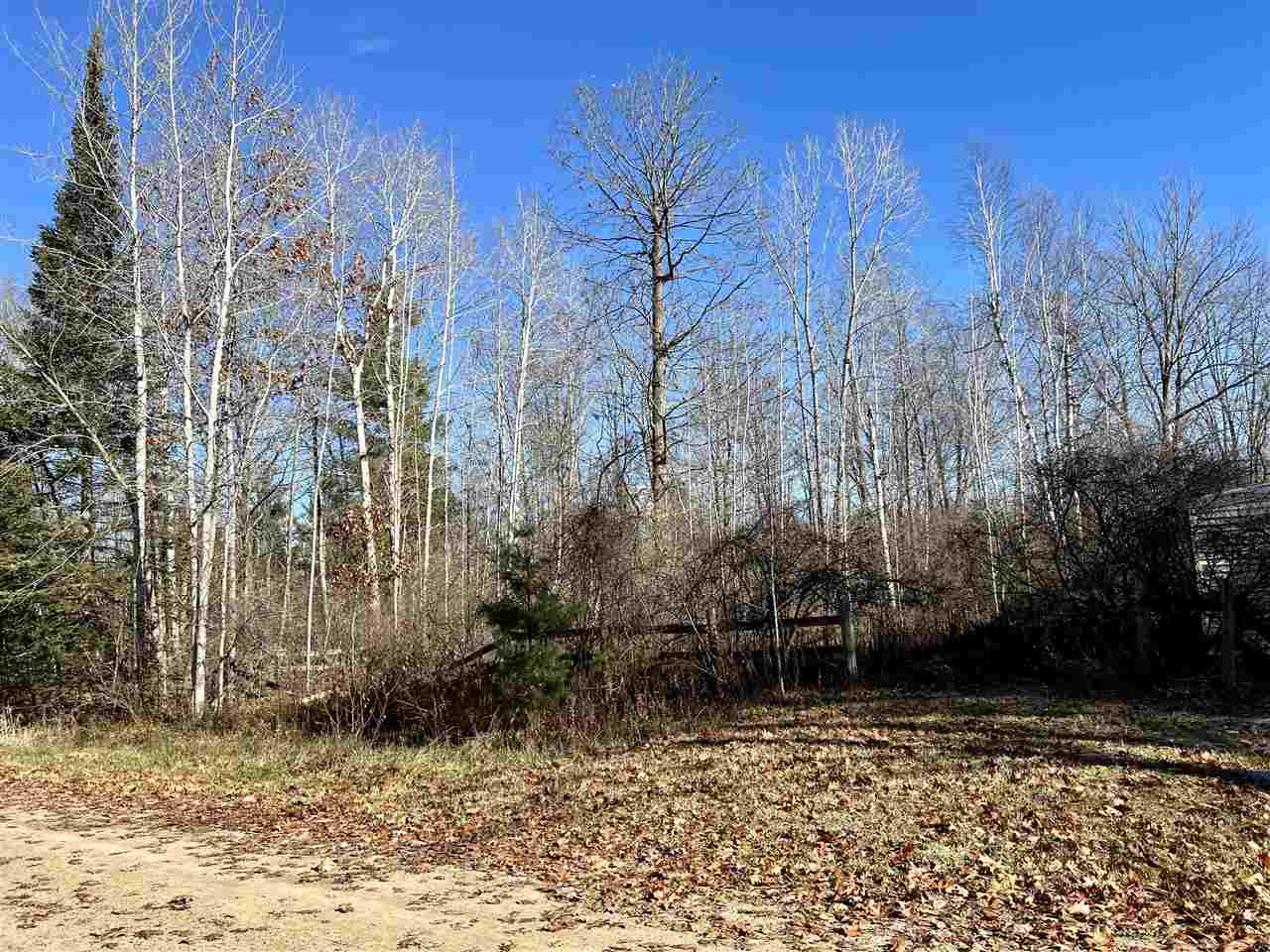 3319 Birch Point Road Beaverton, MI 48612 - Photo 13 of 45