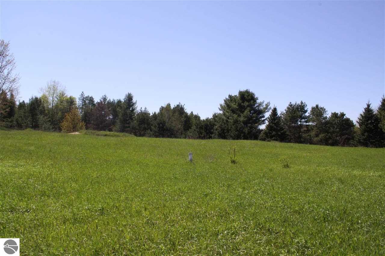 12810 Shippy Road Southwest Fife Lake, MI 49633 - Photo 6 of 28 1785957-5.JPG